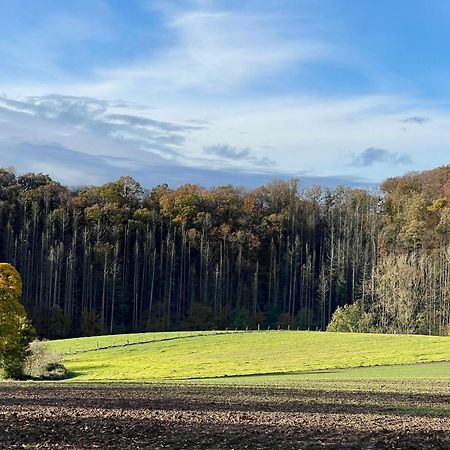 Ferienhaus Kleine Auszeit In Der Natur Mit Kamin, Yogamatten, Schoene Kueche Extertal Exteriör bild
