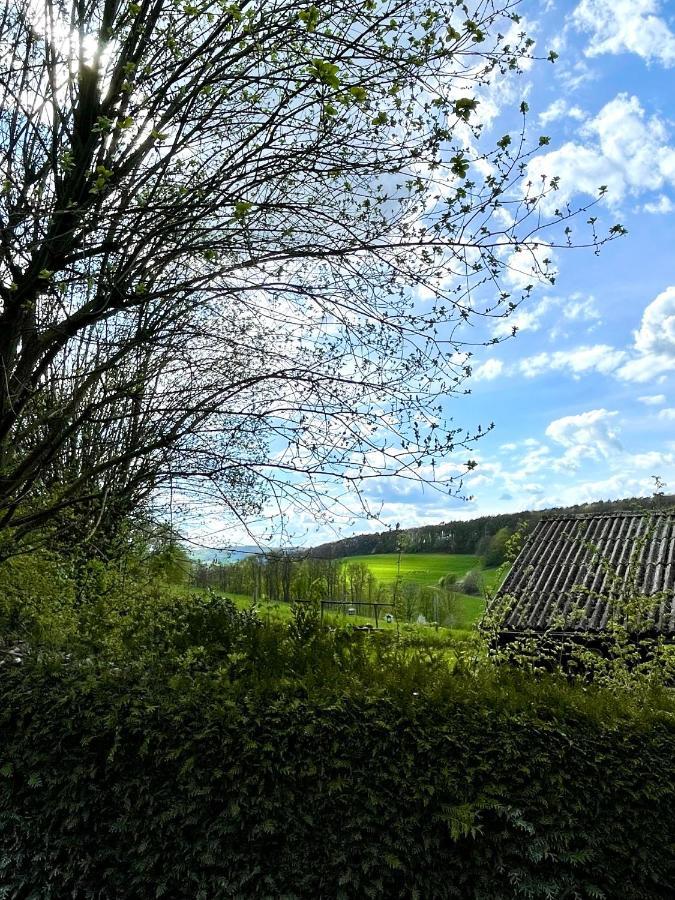 Ferienhaus Kleine Auszeit In Der Natur Mit Kamin, Yogamatten, Schoene Kueche Extertal Exteriör bild
